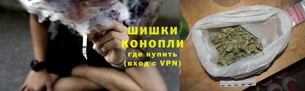 дживик Алапаевск