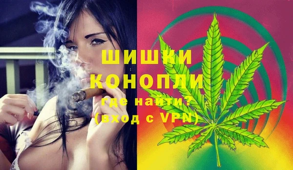 дживик Алагир