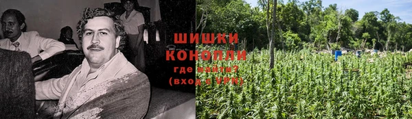 дживик Алапаевск