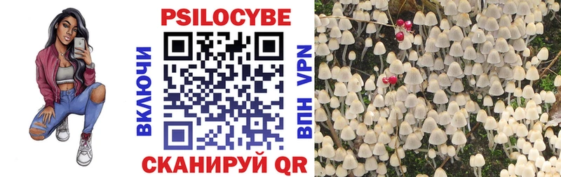 купить наркотики сайты  Балей  Галлюциногенные грибы Psilocybe 